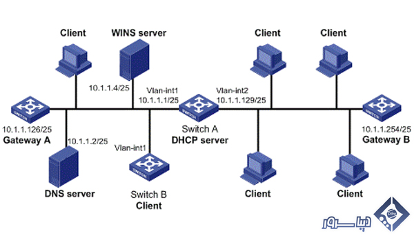 DNS Server